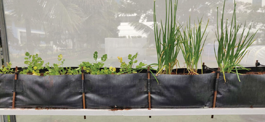 GreenPro Ventures-Trough Sheet-Portable Gardening & Farming Solutions