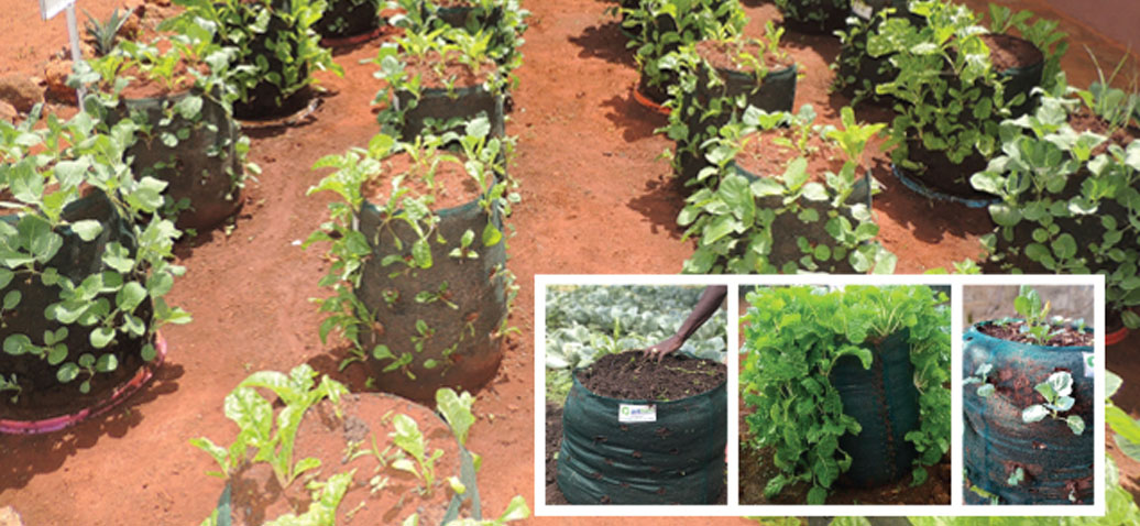 GreenPro Ventures-Vertical Planter Bag-Micro Farming Solutions for Food Security