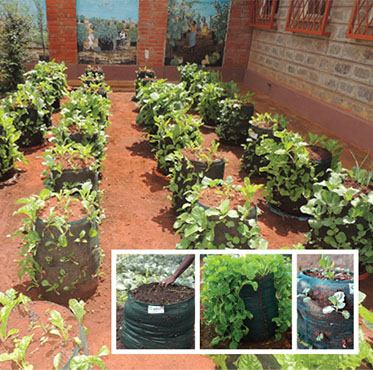 Vertical Planter Bag-GreenPro Ventures Mysore-370x370